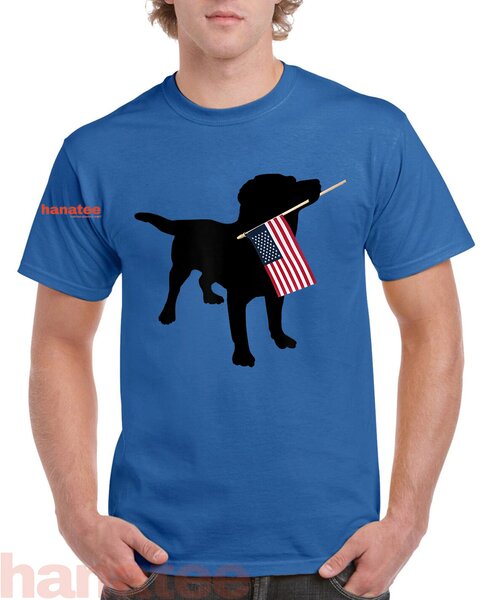 Black Lab Dog Holding USA Flag 