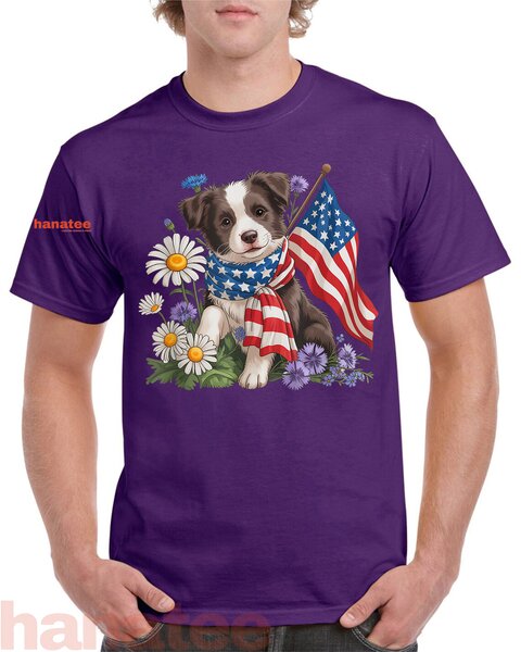 Cute Border Collie Patriotic  