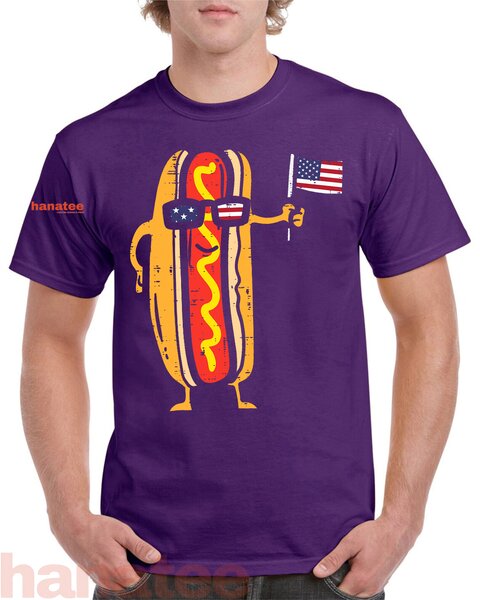 Hotdog Sunglasses American Flag  