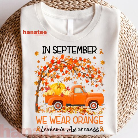 In September We Wear Orange Leukemia Awareness