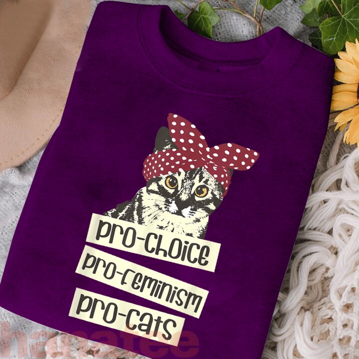 Pro Choice Pro Feminism Pro Cats  