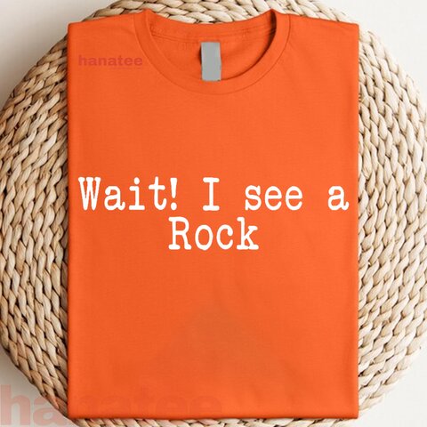 Wait I See A Rock  