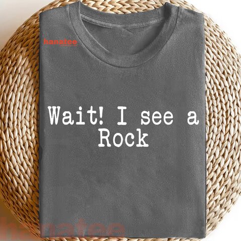 Wait I See A Rock  