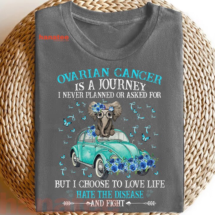 Ovarian Cancer Is A Journey