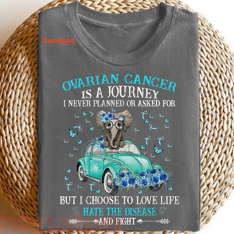 Ovarian Cancer Is A Journey