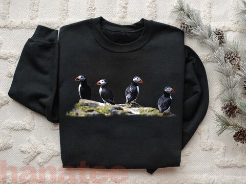 Puffin Birds On The Rock 