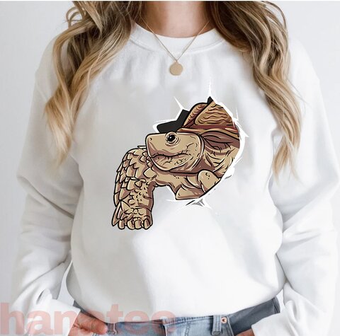 Sulcata Tortoise I Love My African Spurred Tortoise  