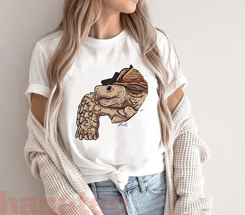 Sulcata Tortoise I Love My African Spurred Tortoise  