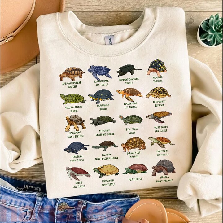 Tortoises And Turtles Types Of Turtles 