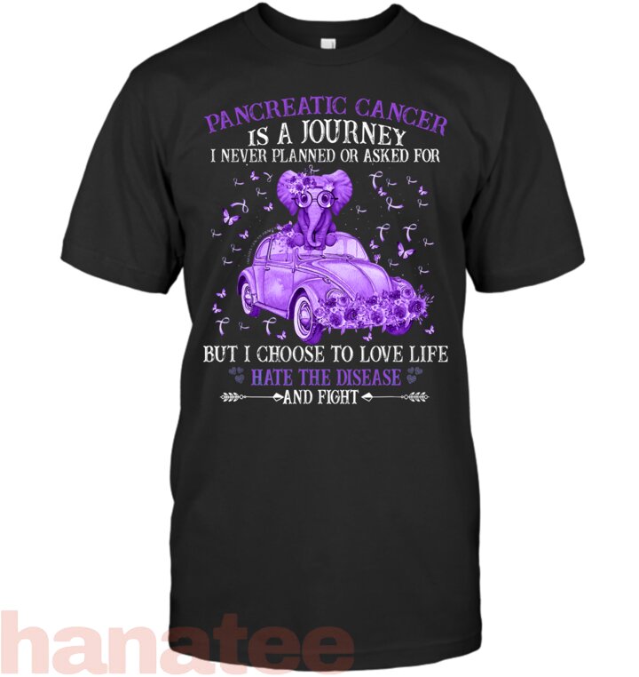 Pancreatic Cancer Is A Journey