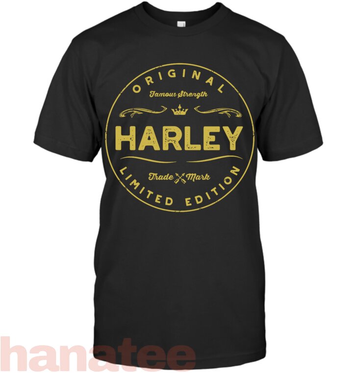 Harley Vintage Decorative