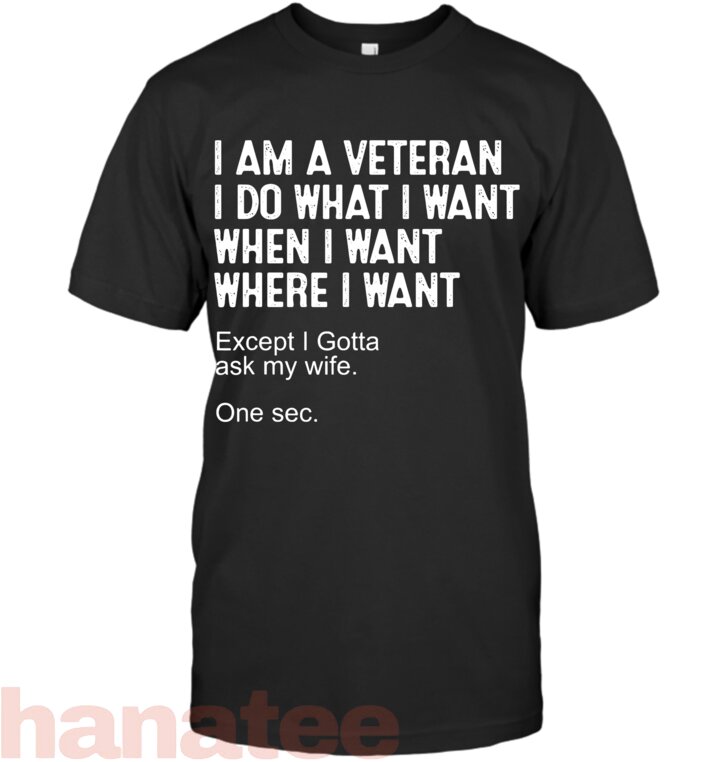 Veteran Sarcasm Army Grandpa