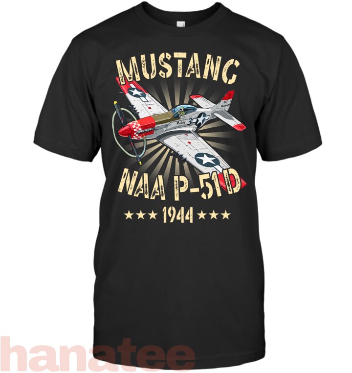 P-51D Fighter Warbirds