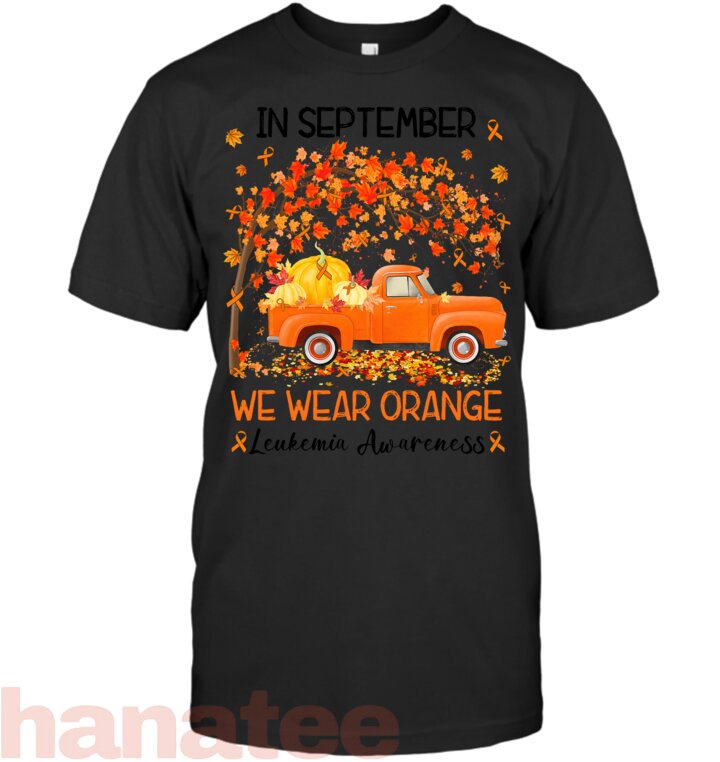 In September We Wear Orange Leukemia Awareness