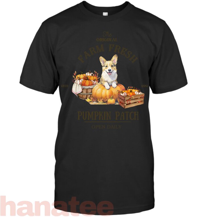 Corgi Autumn Fall Pumpkin