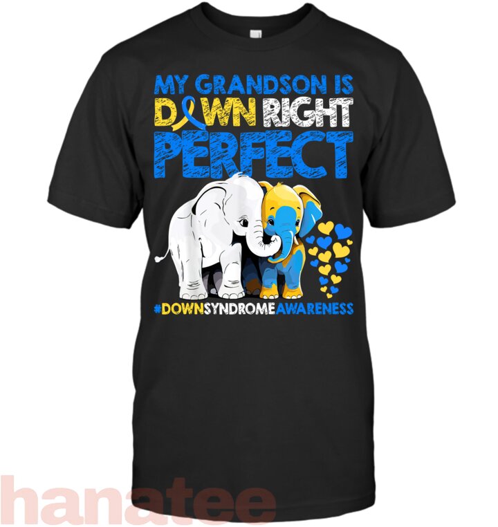 My Grandson Is Down Right Perfect 2