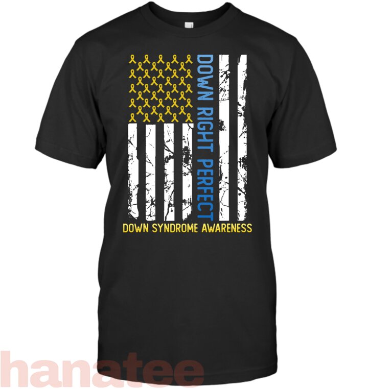 Down Right Perfect American Flag