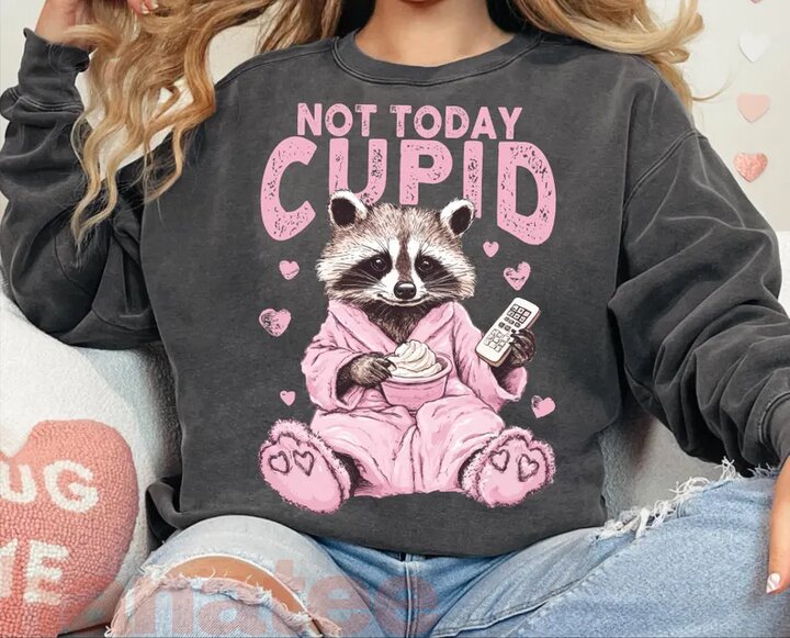 Not Today Cupid, Snarky Raccoon Valentine's Day