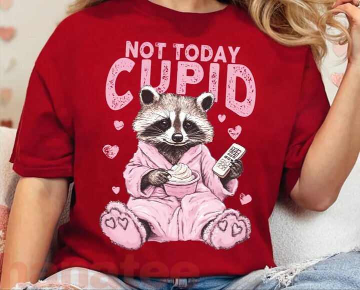 Not Today Cupid, Snarky Raccoon Valentine's Day