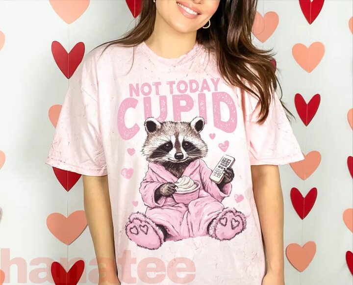Not Today Cupid, Snarky Raccoon Valentine's Day